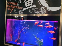 -蜀锦堂·川味现炒(襄阳武商汇店)