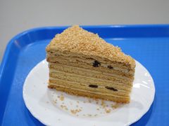 -谢列梅捷沃国际机场