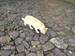 -雨花胜境