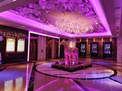 -纯K(打浦桥店)