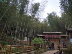 -宁波浙东大竹海景区
