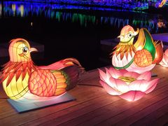 -八大山人梅湖景区