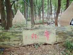 -东湖落雁景区