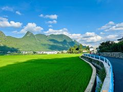 -万峰林风景区