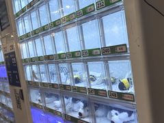 -宜家·瑞典风味餐厅(天津东丽商场店)