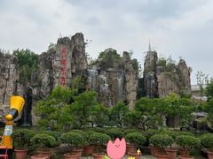 -秀丽东方