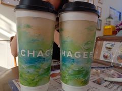 -老牌坊鲁菜名店(聊城美食岛店)