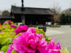 -钱王祠