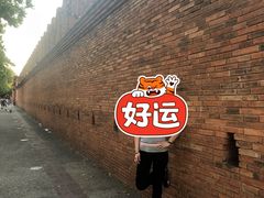 -清迈丛林飞跃 JungleFlight