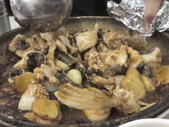 -源港渔村-中山脆肉鲩(博罗店)