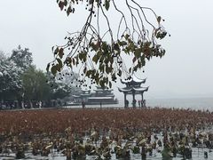 -西湖外事游船(湖滨二公园外事游船码头)