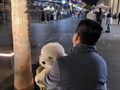 -悉尼歌剧院