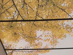 -京味斋·烤鸭·北京菜(安贞店)