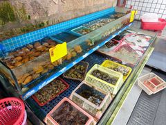 -坛南湾农家乐·海鲜楼·大排档(平潭坛南湾店)