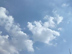 -湖南文氏湘菜馆(顺河高架路店)