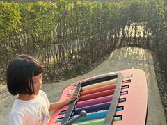 -红山体育乐园