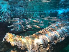 -沈阳海洋探索中心