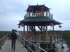 -北海金海湾红树林生态旅游区