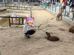 -西霞口神雕山野生动物世界