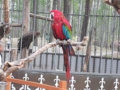 -北京野生动物园