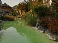 -吴淞炮台湾湿地森林公园烧烤区