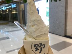 -野人先生Gelato(上海长宁龙之梦店)