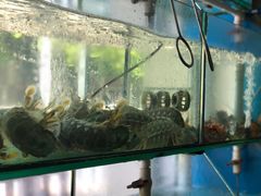 -凯华海鲜火锅·传承三十六年