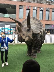 -恐龙探索乐园(磁器口店)