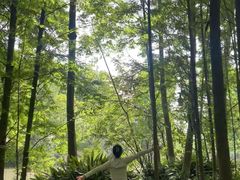 -桤木河湿地公园