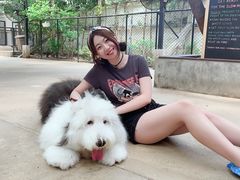 -TrueLove @ Neverland (Husky Cafe)