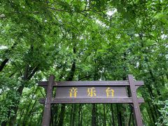 -音乐台