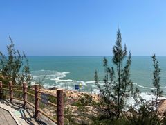 -广东惠东海龟国家级自然保护区