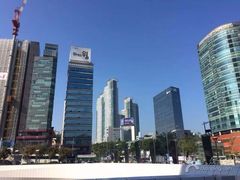 -乐天免税店(明洞店)