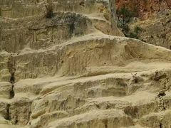 -彩色沙林风景区