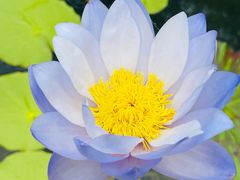 -上海辰山植物园