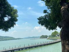-水上明月·湖景餐厅