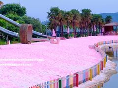 -苏州太湖西山岛开心农场