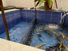 -北京龙庆四季香农家饭庄·灶台鱼·碳烤虹鳟鱼(龙庆峡店)