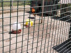 -前小桔亲子创意农场·草莓采摘·露营烧烤