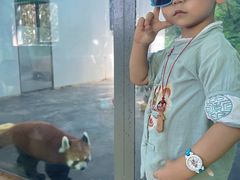 -西安秦岭野生动物园