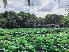 -兰亭风景区