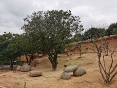 -泉州海丝野生动物世界