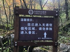 -青峰峡国家森林公园