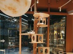-米乐乖乖猫咪咖啡馆·猫咖(深圳湾后海汇店)
