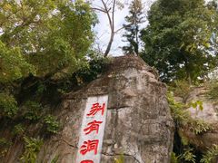 -深圳仙湖植物园