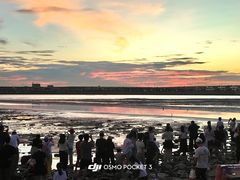 -宝安西湾红树林湿地公园