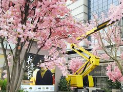 -首开·龙湖成都西宸天街
