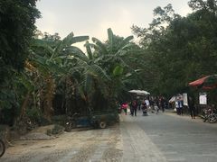 -扬美古镇景区