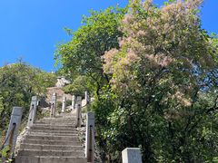 -北京凤凰岭