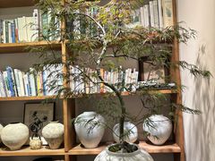 -自由生长植物工作室(深港花卉中心店)